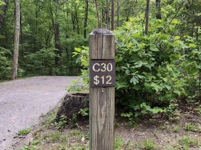 30