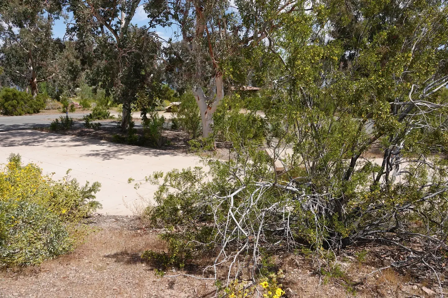 Site 34
