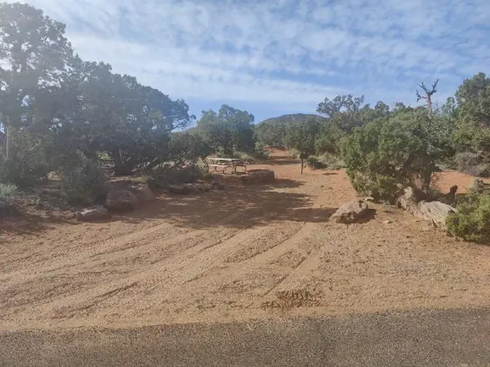 66