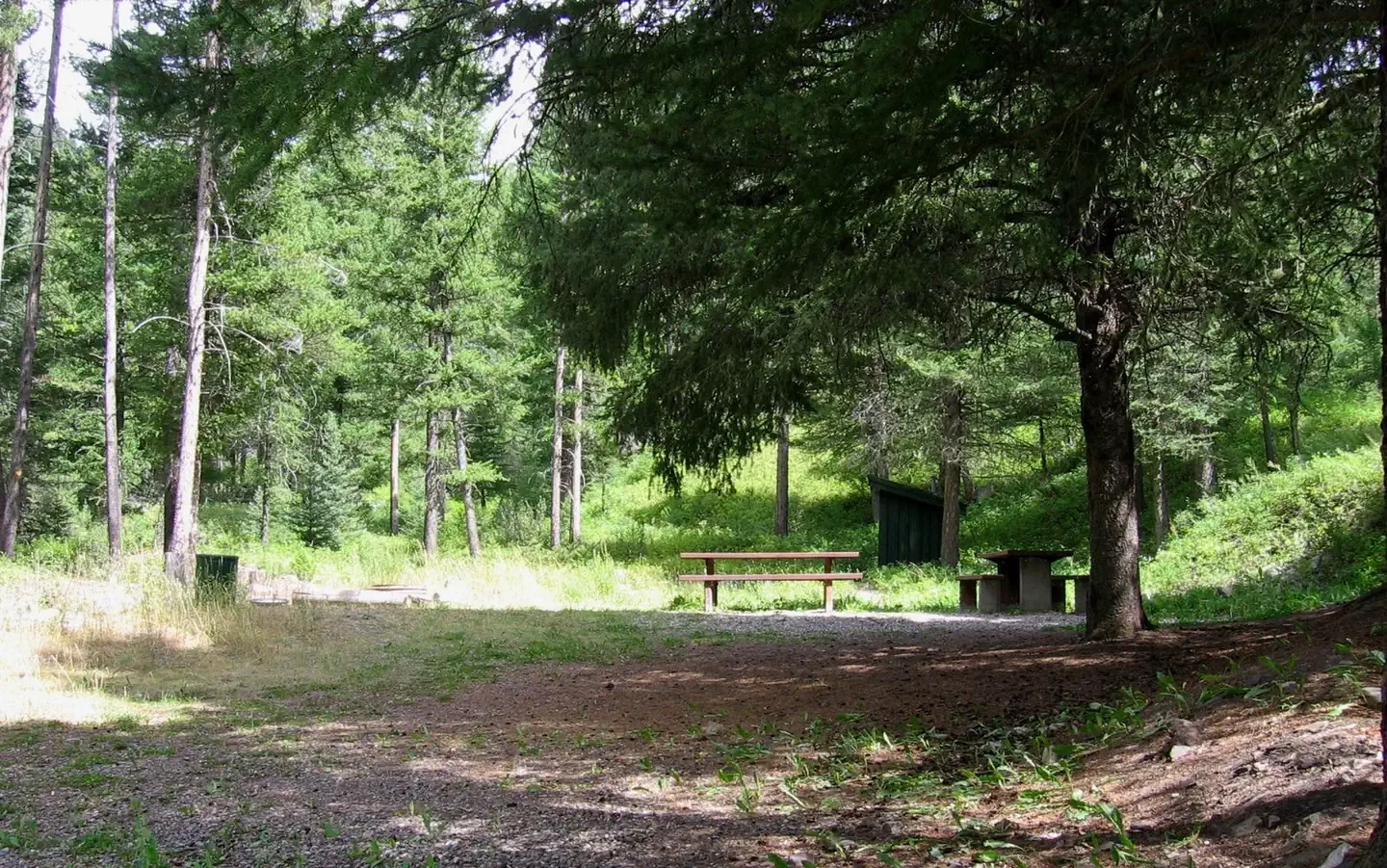 Moose Creek Group Site