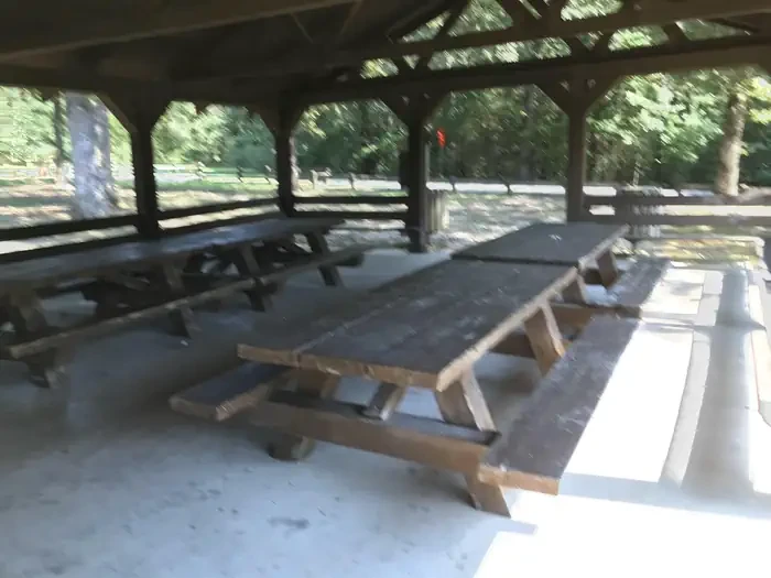 L1-Large Picnic Shelter