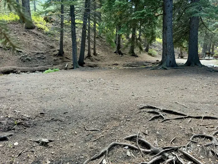 Group Site 2