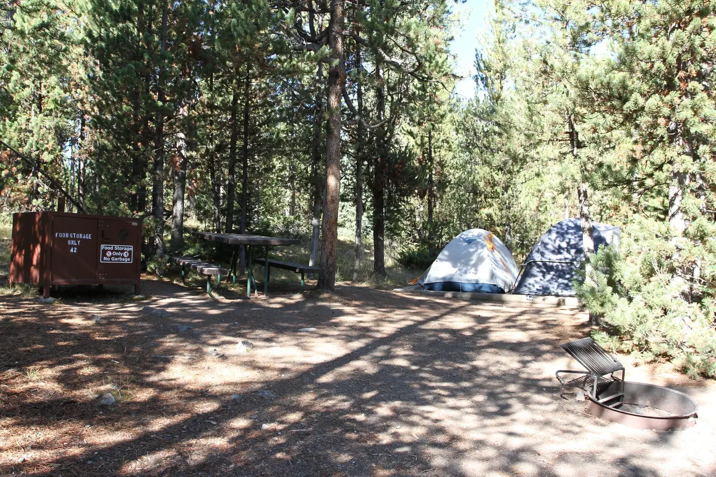 Indian Creek site #42