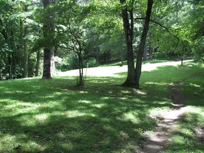Group Site 2