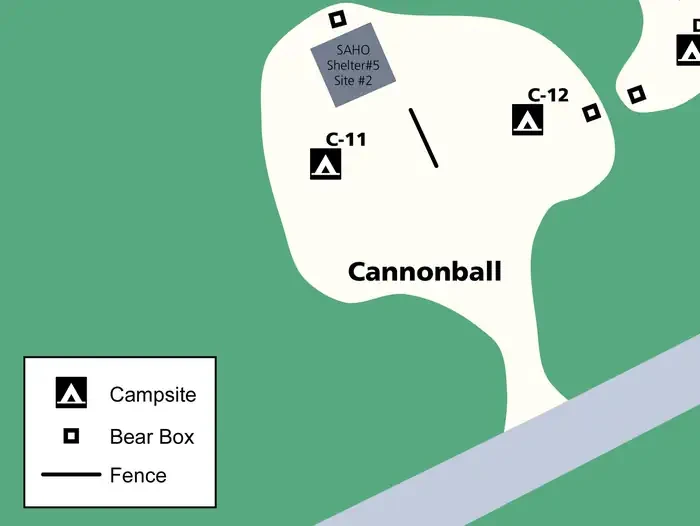 C12