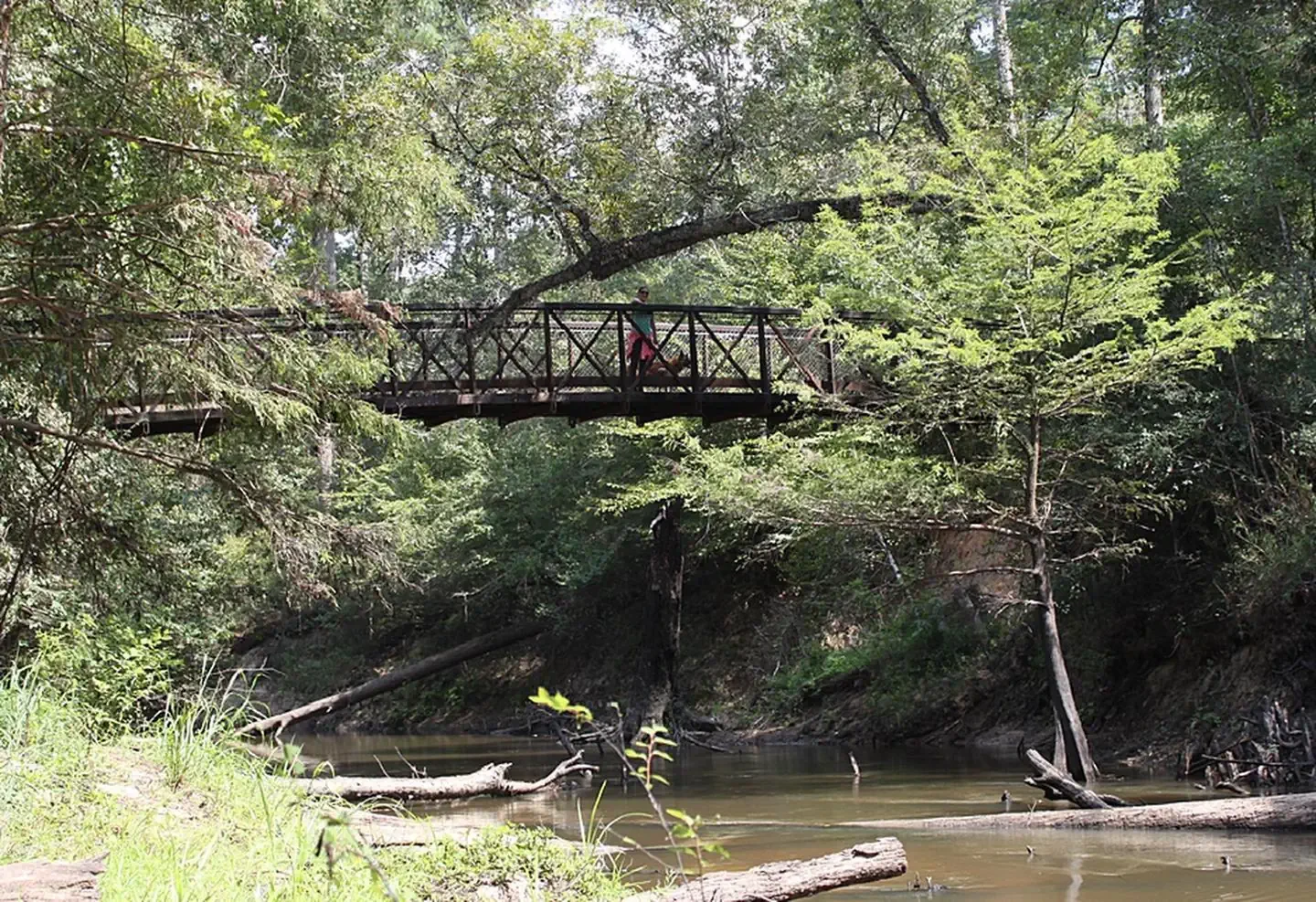 Big Thicket National Preserve