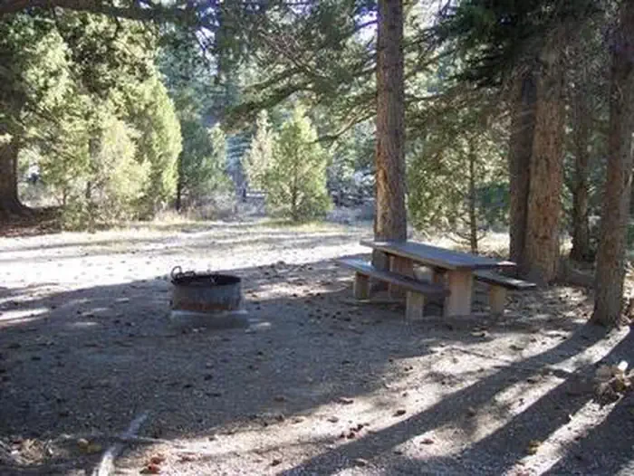 Pine Lake Campground