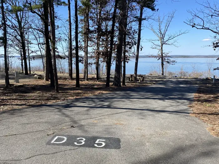 D35