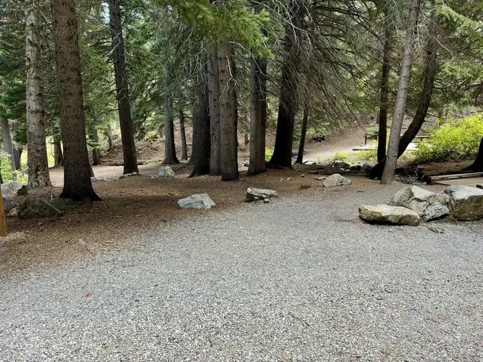 Group Site 2