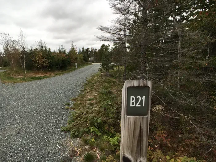 B21