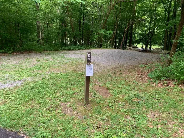 D-20
