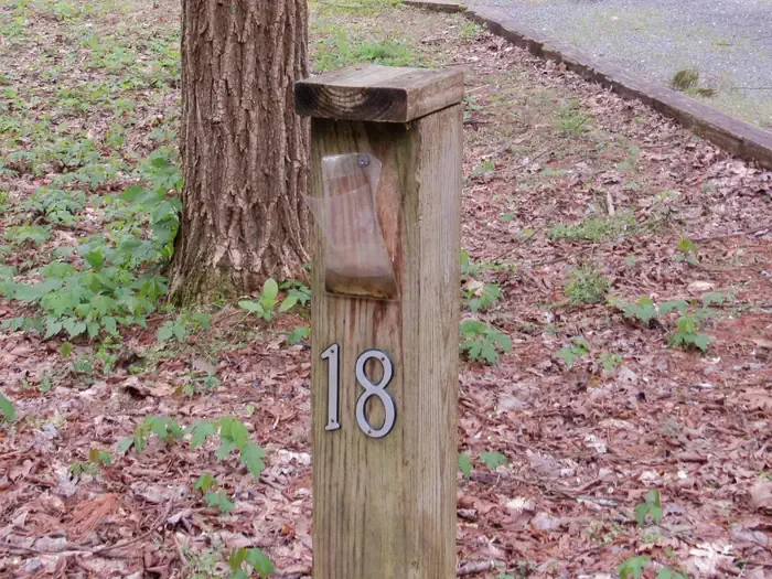 18