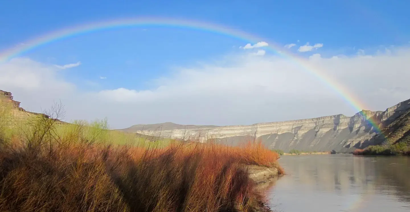 Desolation Gray - Green River Permit