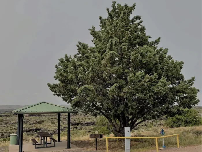 Site 6