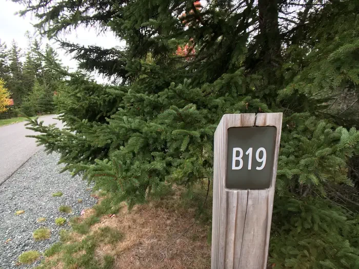 B19