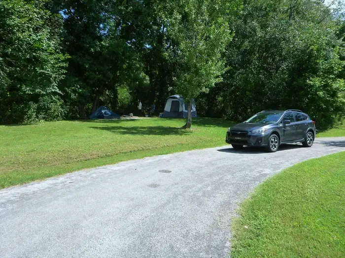 Site# 12
