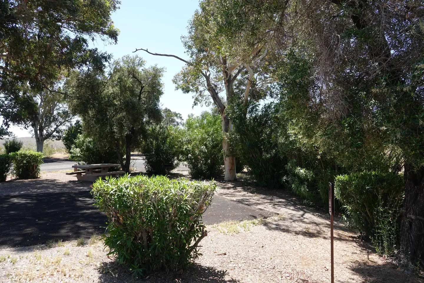 Site 16