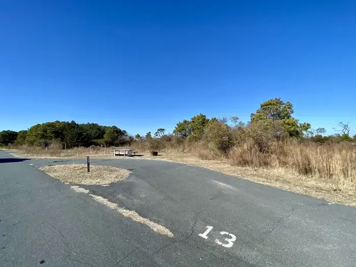 A13