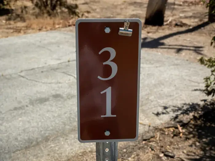 Site 31