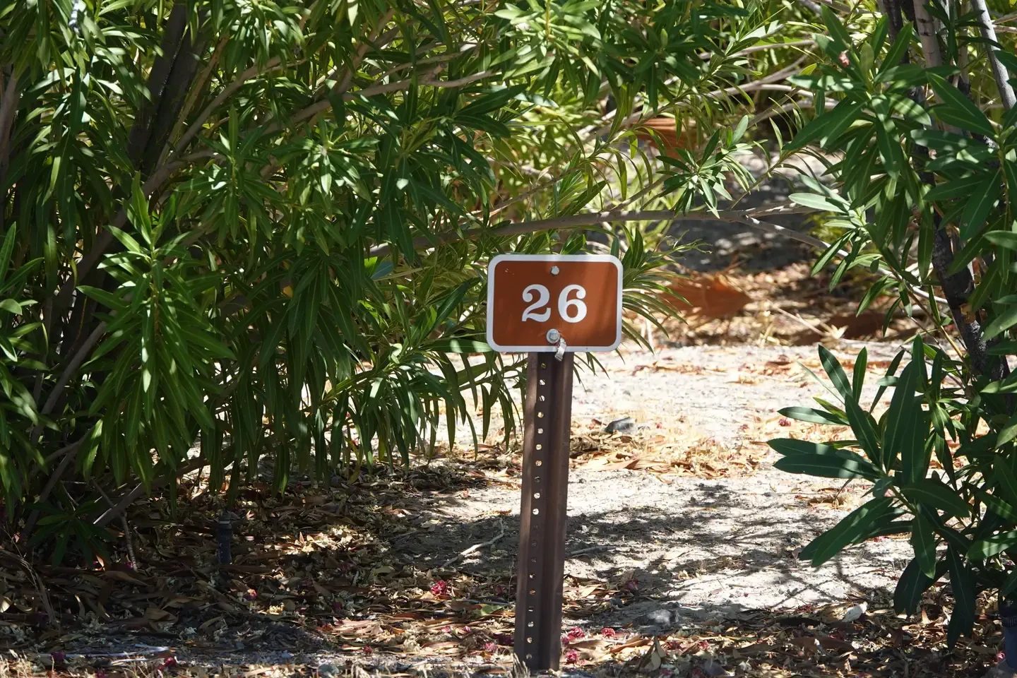 Site 26