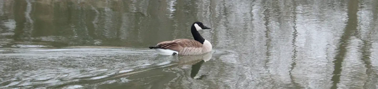 84