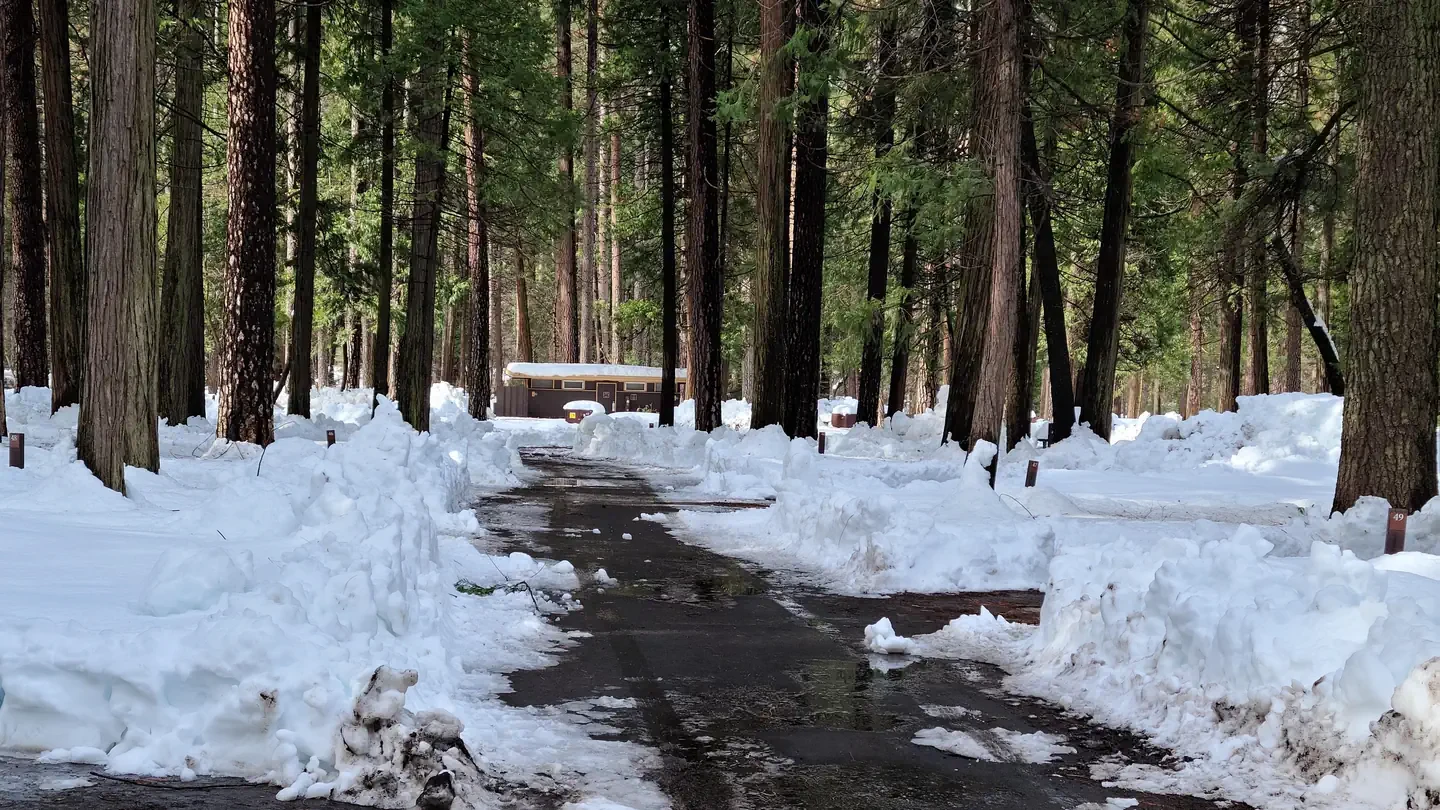 Upper Pines Campground