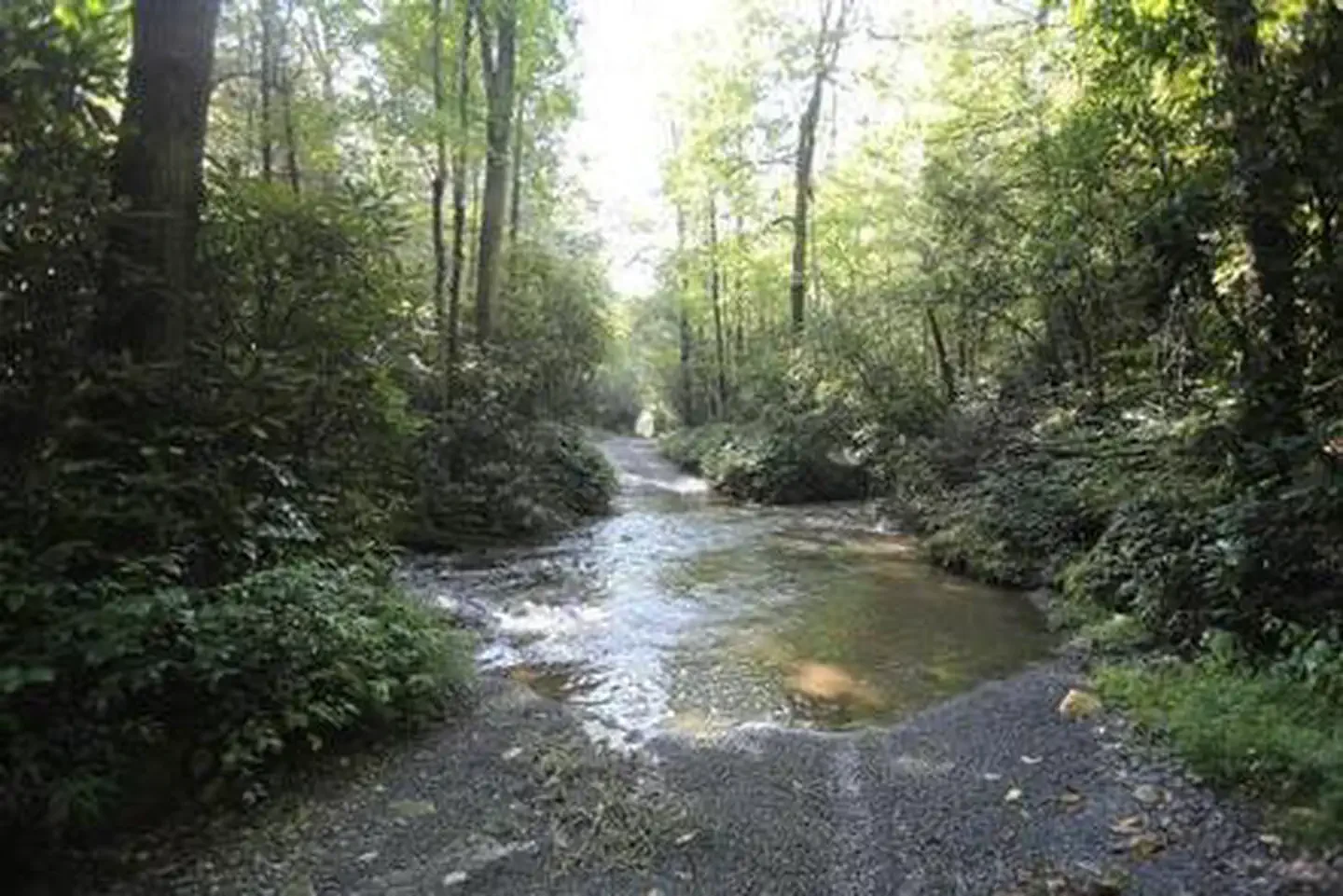 Cove Creek Lower Group Camp
