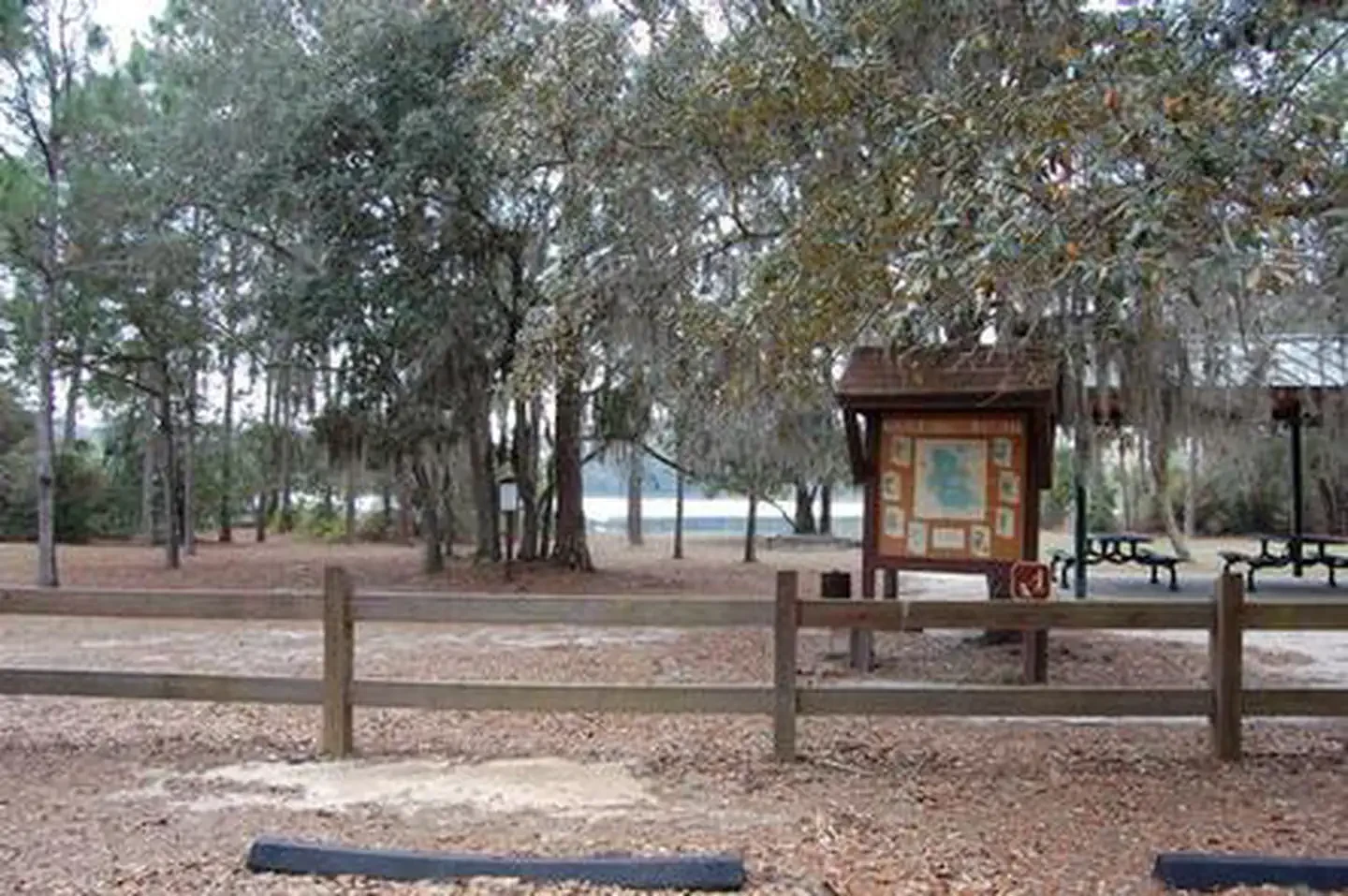 Lake Shore Group Camp