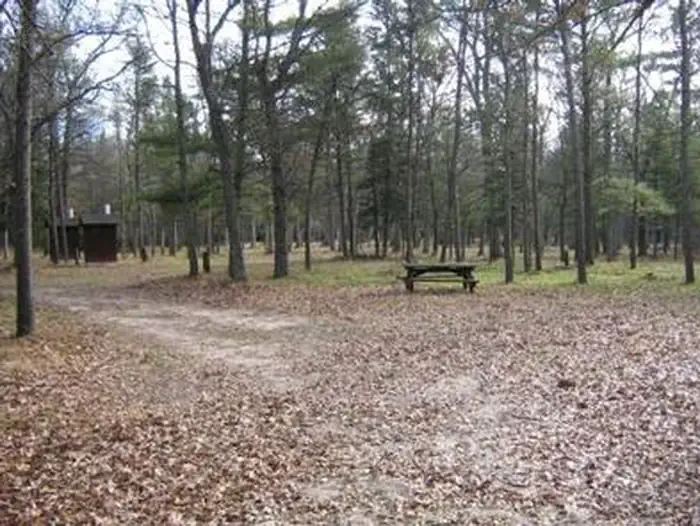 South Branch Trail Camp Group Site