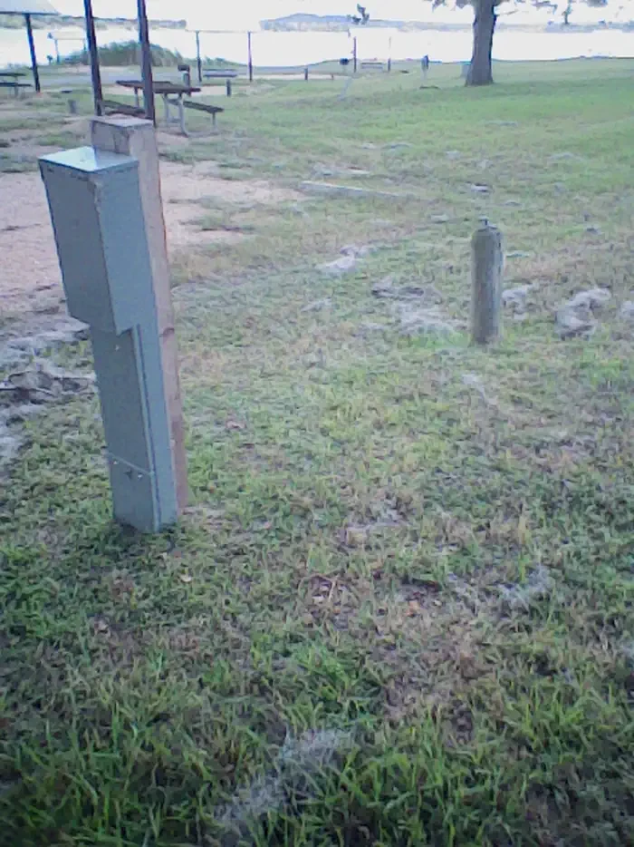 161