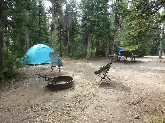 Lewis Lake site #73