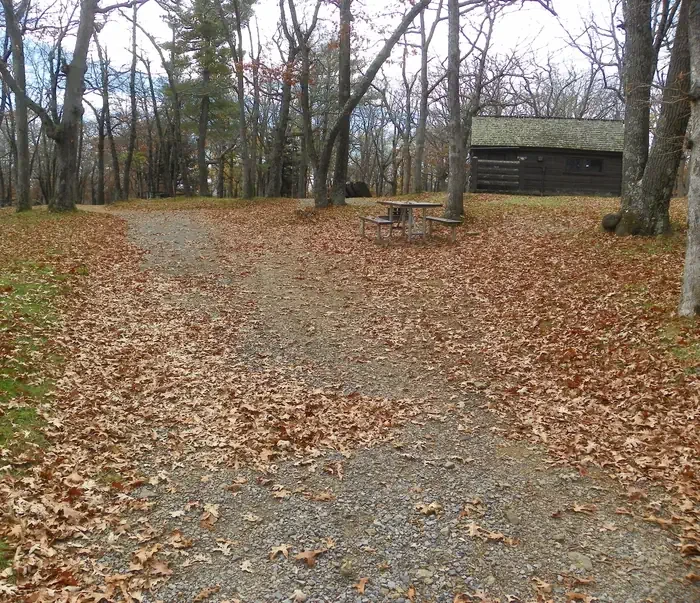 I229