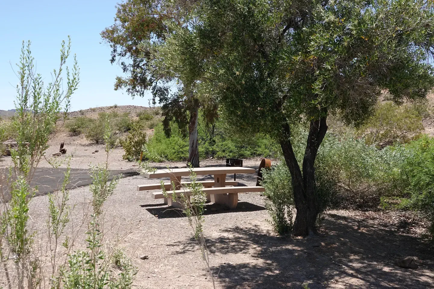 Site 82
