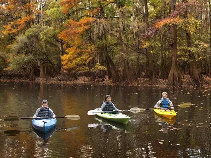 Longleaf Campground