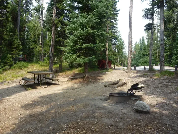 Lewis Lake site #49