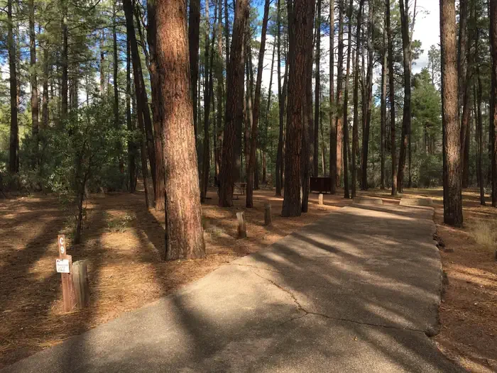 C-09