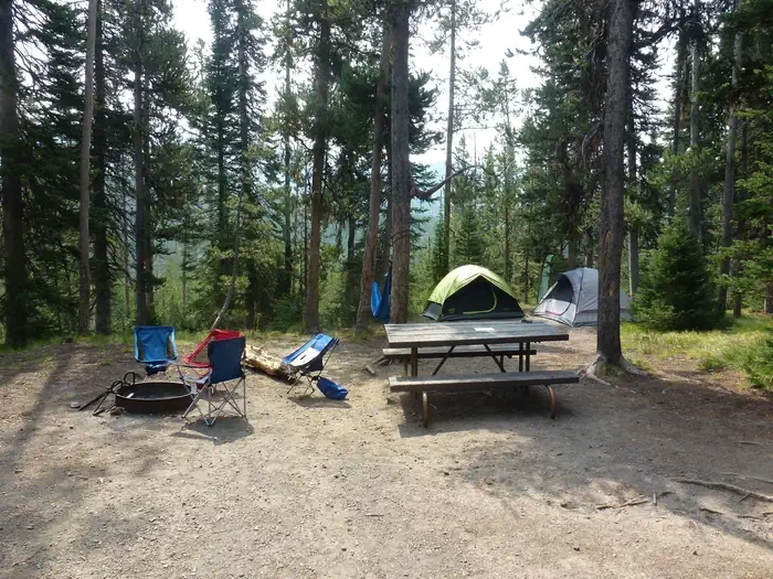 Lewis Lake site #50