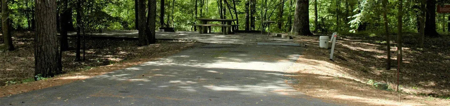 D15