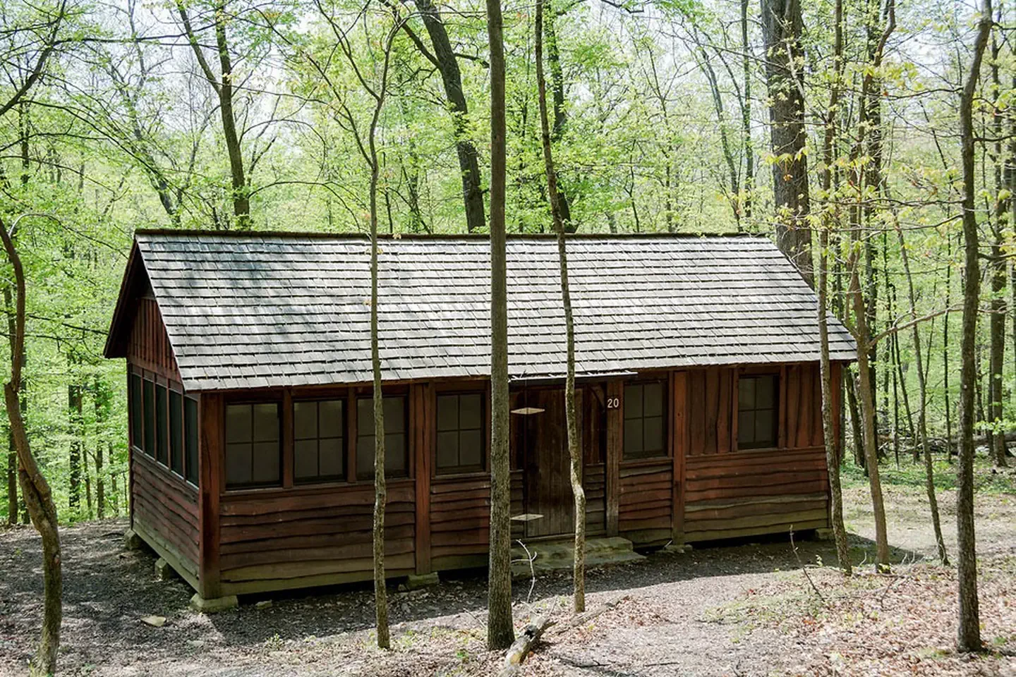 Cabin 20