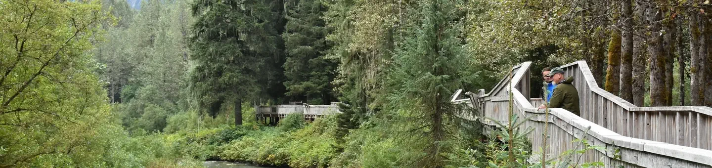 Wildlife Viewing
