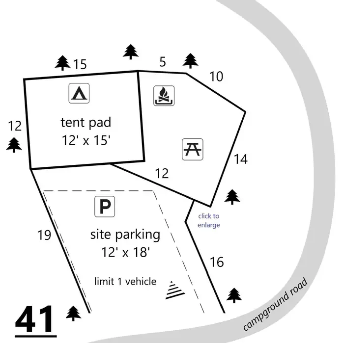 41