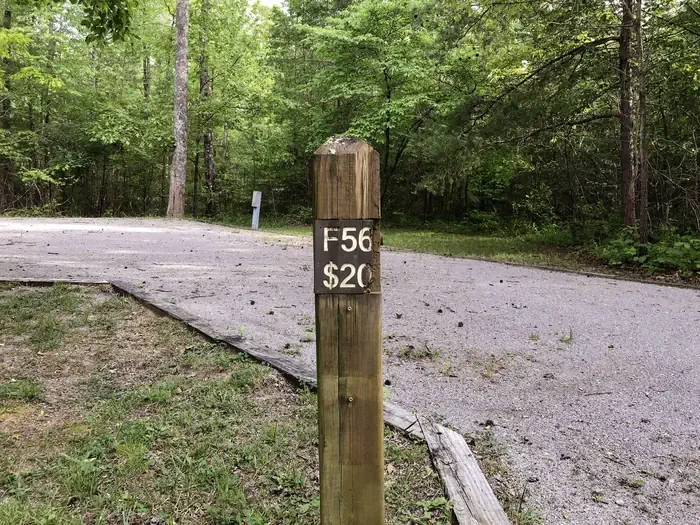 56