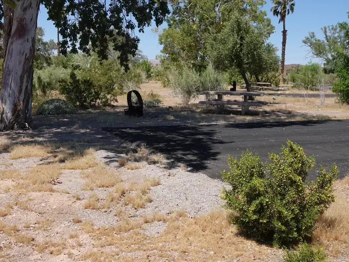 Site 59