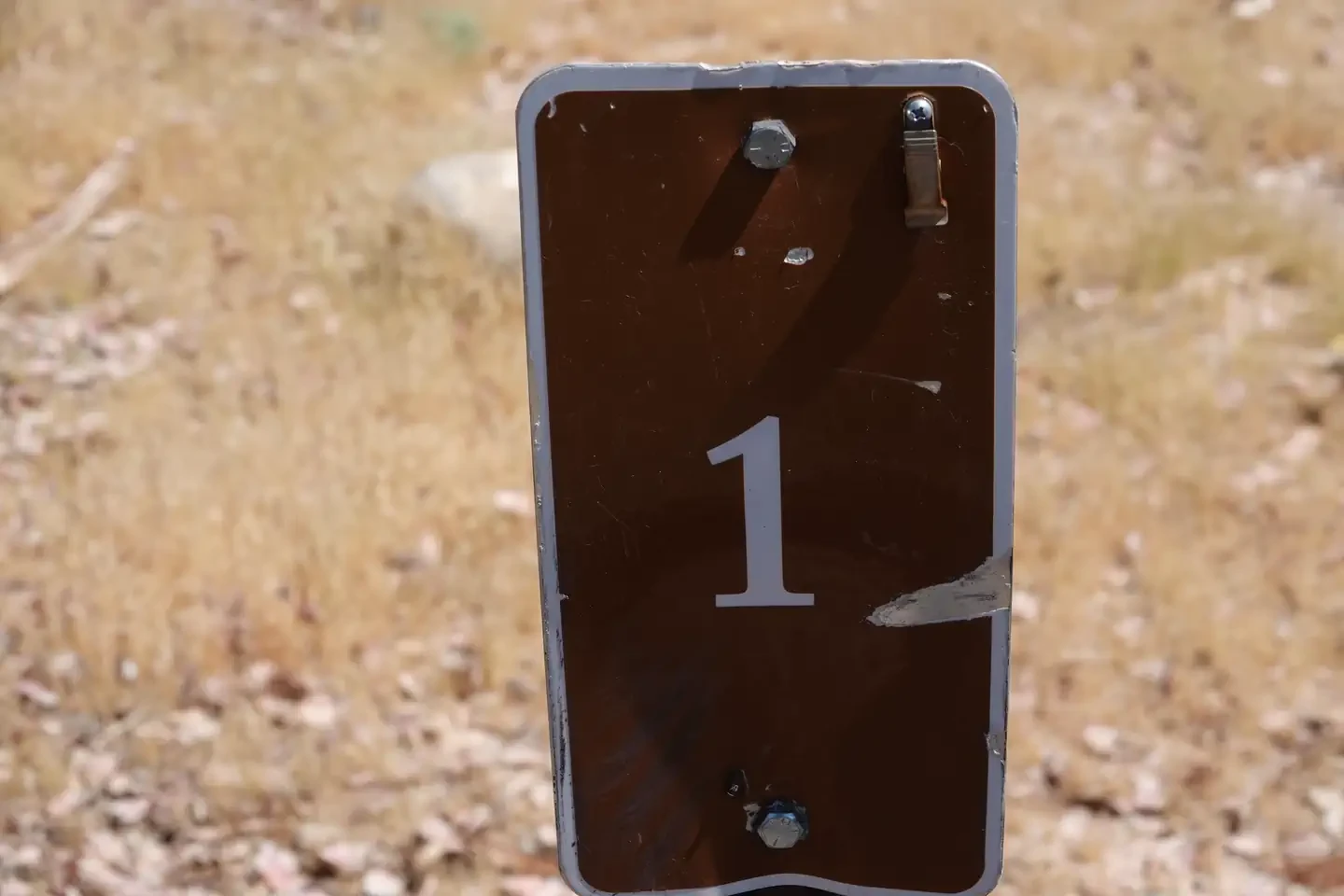 Site 1