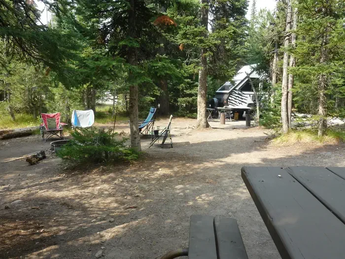 Lewis Lake site #44