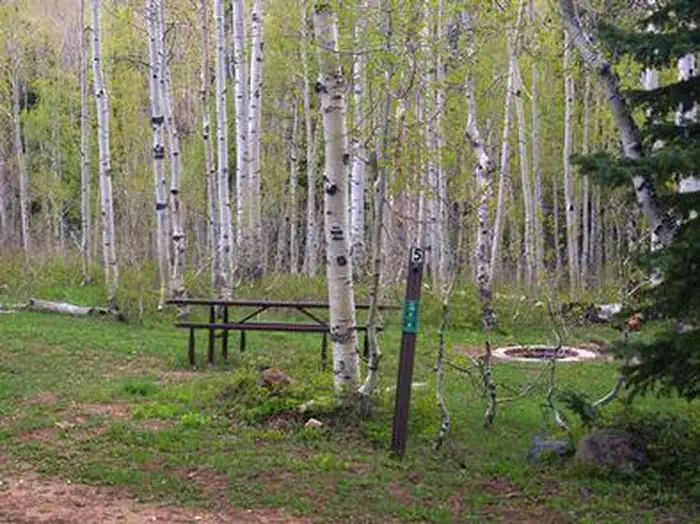 Deer Haven