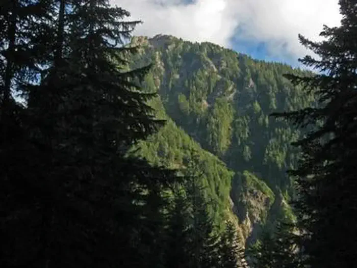 Cougar Rock Campground