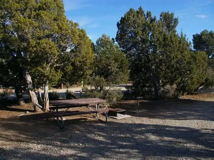 Ward Mtn. Campground (murray Summit)