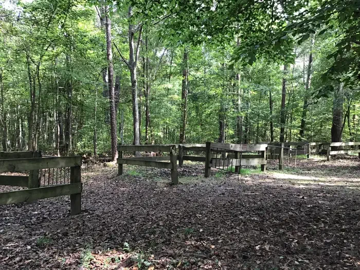 Group Site 10