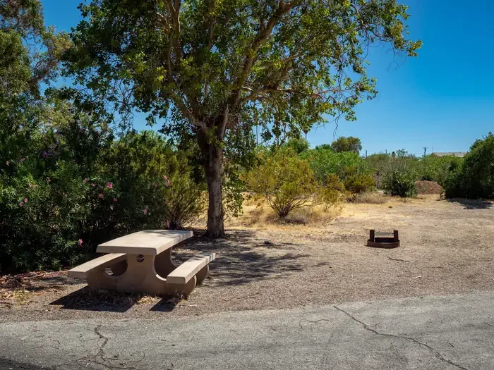 Site 59